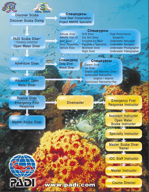 обучающие материалы PADI