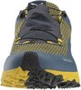 Кроссовки Salewa Ultra Train 2 Men's Shoes
