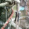 Блок-ролик Крок Арборист малый