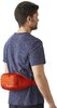 Сумка поясная Gregory NANO WAISTPACK