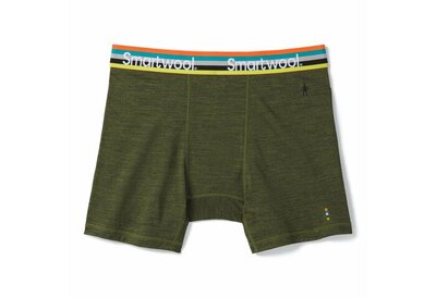 Термобелье трусы Smartwool Mens Merino Sport 150 Boxer Brief Boxed Moss green heater
