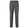 Штаны трекинговые Montane Terra Lite Pants Slate