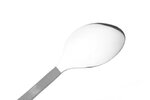 Ложка Toaks TITANIUM SPOON   SLV-13