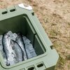 Термобокс Petromax Passive Cooler Box 50 л