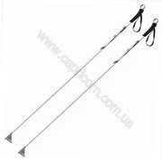 Палки для беговых лыж Fischer XC Sport